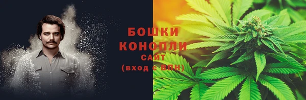 экстази Дмитриев