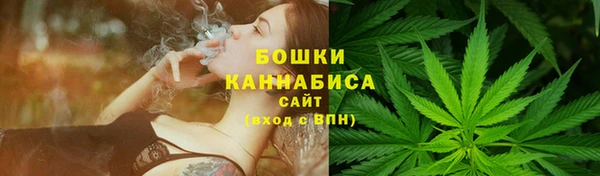 экстази Дмитриев