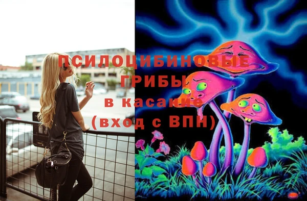 прущие крисы Дмитровск