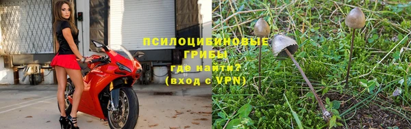 экстази Дмитриев