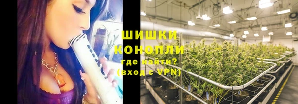 прущие крисы Дмитровск
